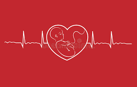 Module INP 28: SOINS INTENSIFS EN NEONATOLOGIE